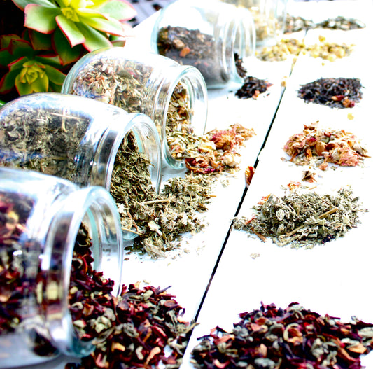 DTEHI Signature Blend Loose Leaf Teas 7oz Jar